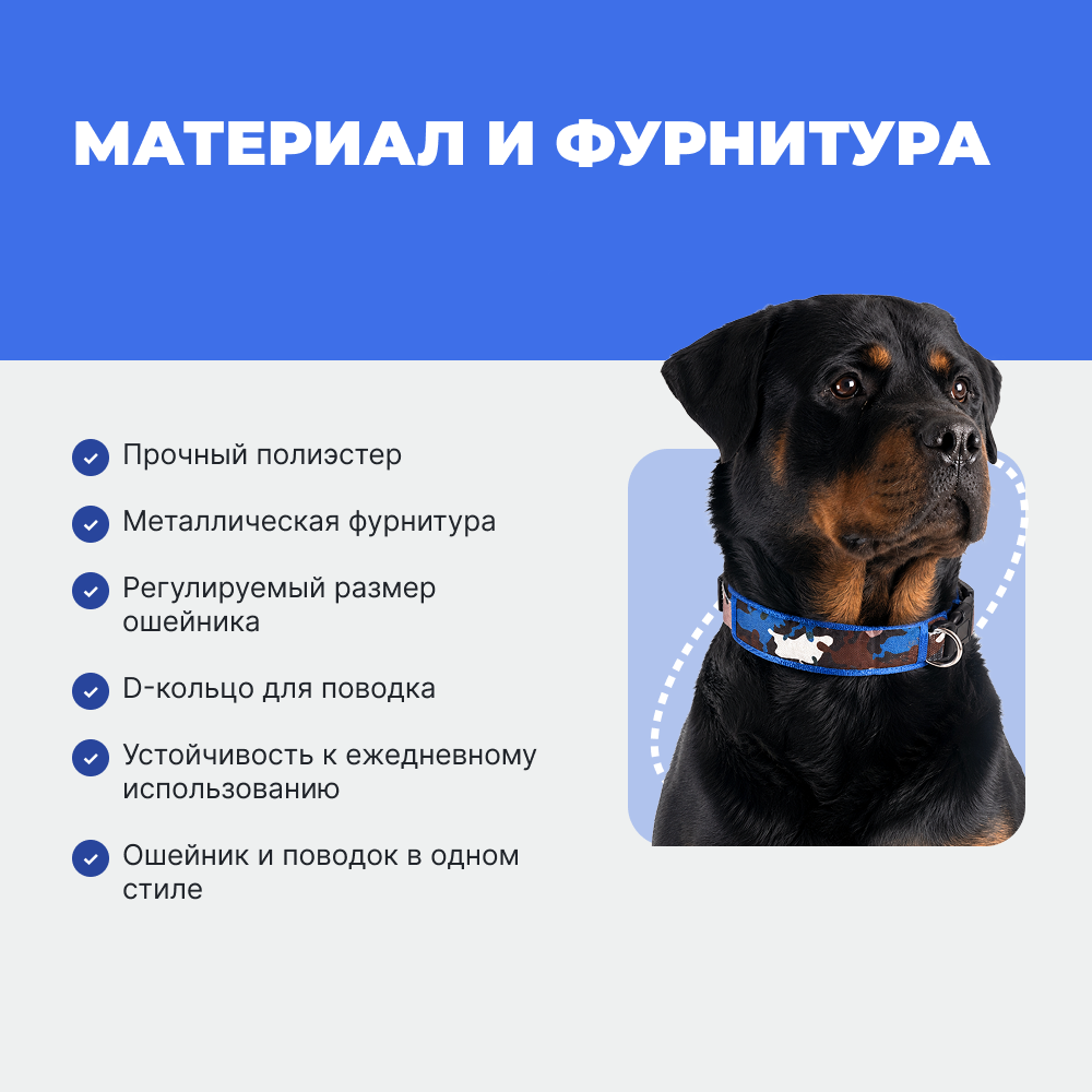 Ошейник и поводок для собак FOXIE Strong L разноцветные