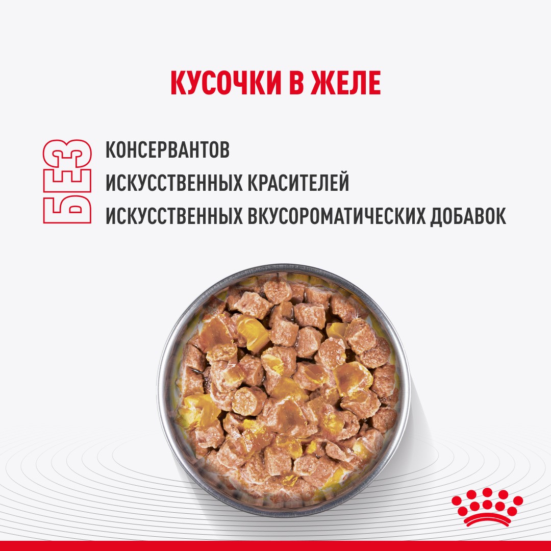 Корм для котят ROYAL CANIN Kitten Sterilised для стерилизованных от 6 мес., кусочки в желе пауч