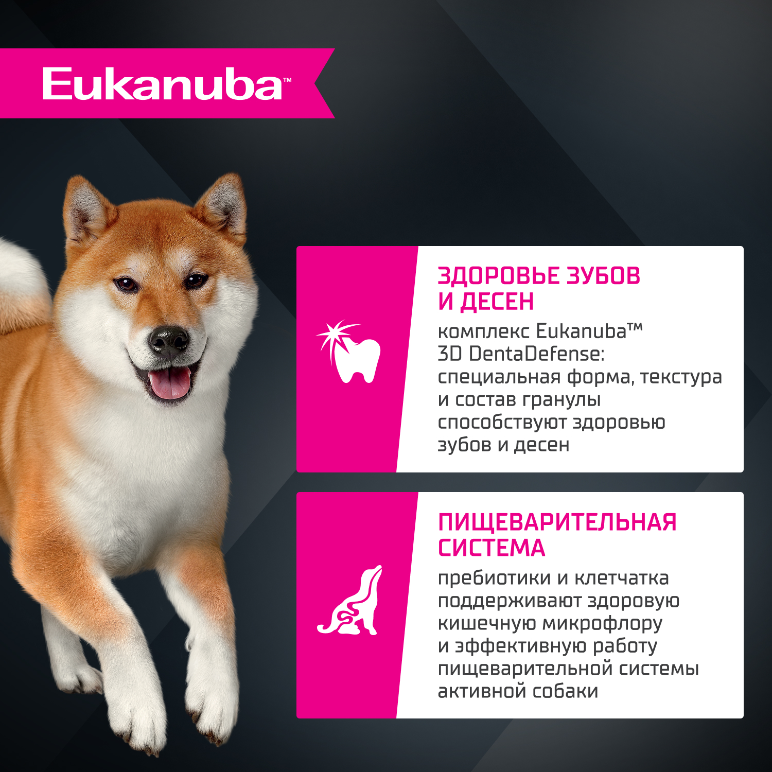 Корм для собак EUKANUBA для мелких и средних пород, ягненок сух.