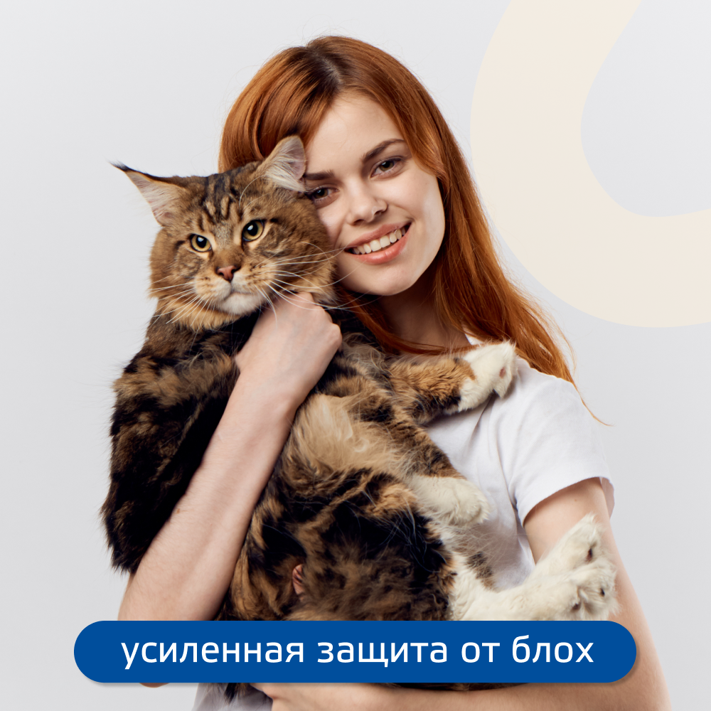 Капли для кошек, хорьков KRKA Фиприст Комбо от клещей и усиленным действием против блох 0,5мл, 1 пипетка