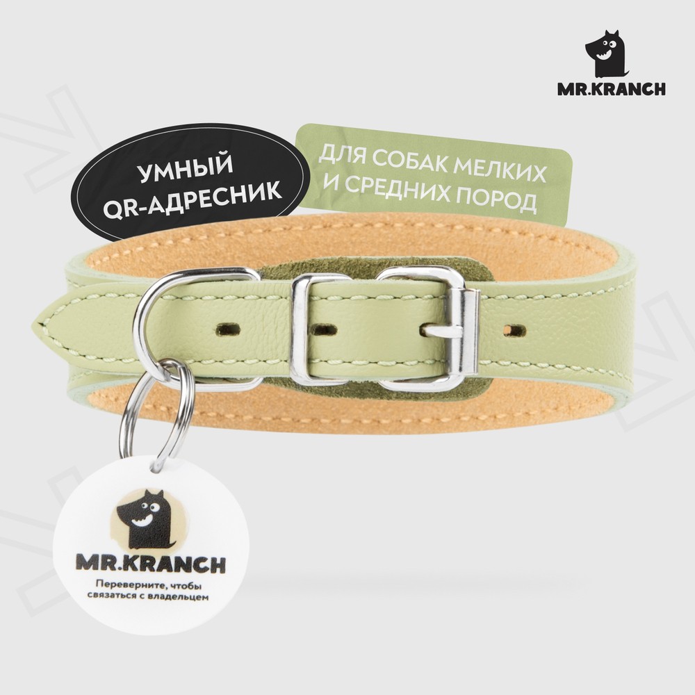 Ошейник-селедка для собак MR.KRANCH из натуральной кожи с QR-адресником, нежно-зеленый 21-25см