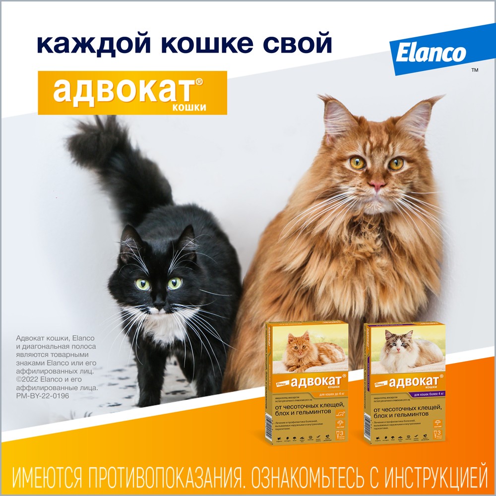 Капли для кошек ELANCO АДВОКАТ от паразитов (до 4кг веса) 0,4мл, 3 пип.