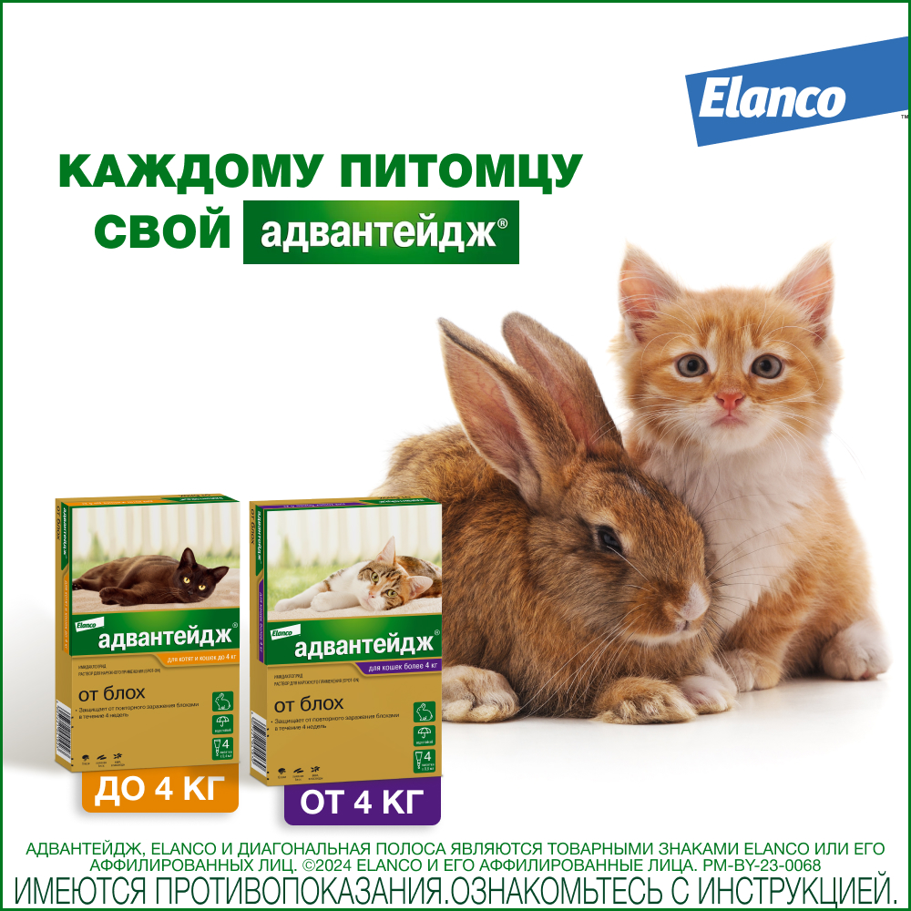 Капли для котят и кошек ELANCO Адвантейдж от блох  (до 4кг), 1 пипетка в упаковке 0,4мл