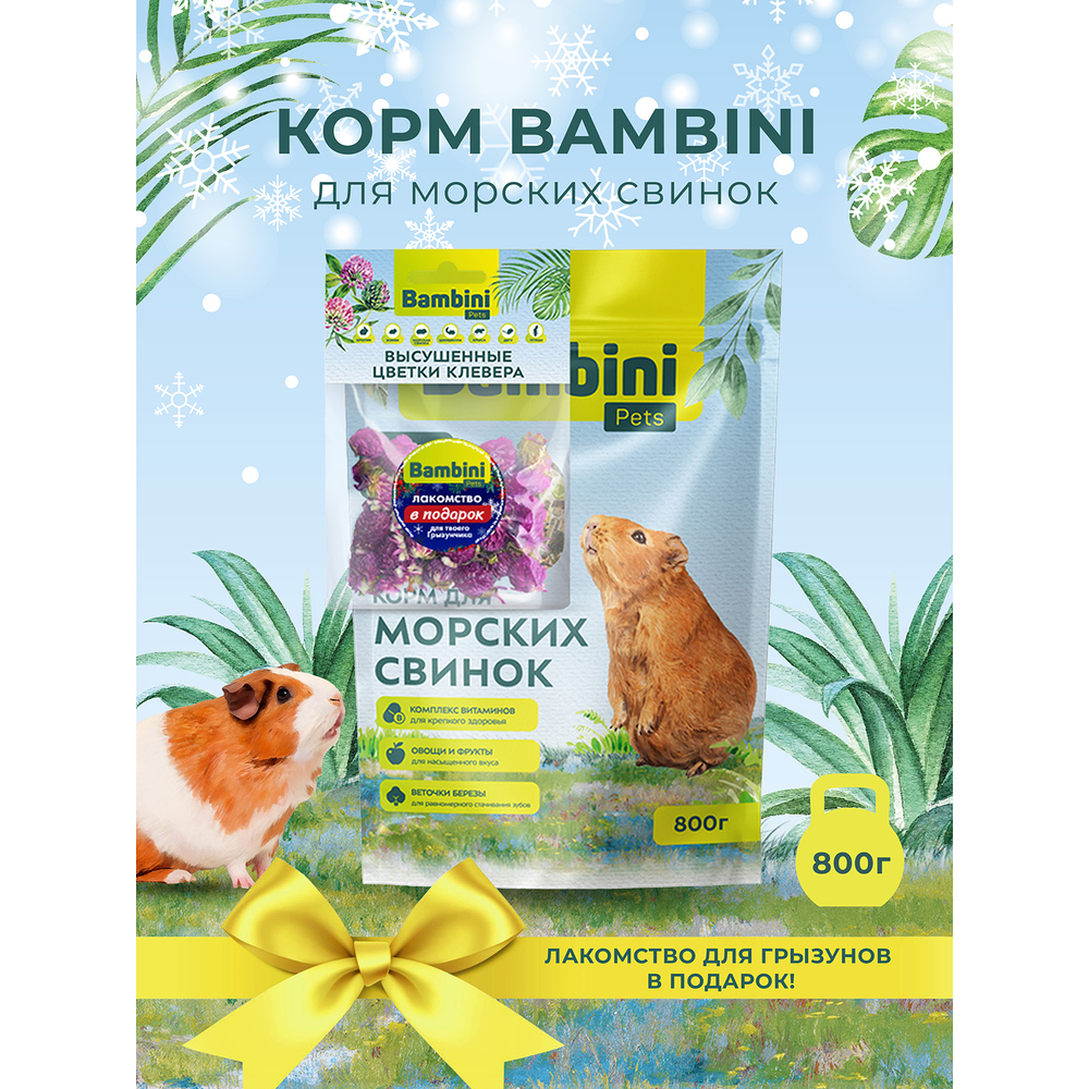 Корм для грызунов BAMBINI PETS для морских свинок 800г + лакомство цветы клевера в ПОДАРОК