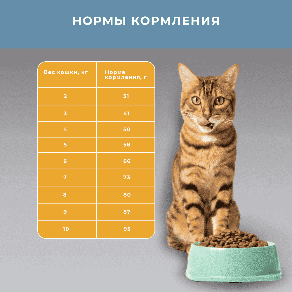 Корм для кошек ELATO Holistic для кастрированных,стерилиз. и малоактивных, курица с уткой сух.