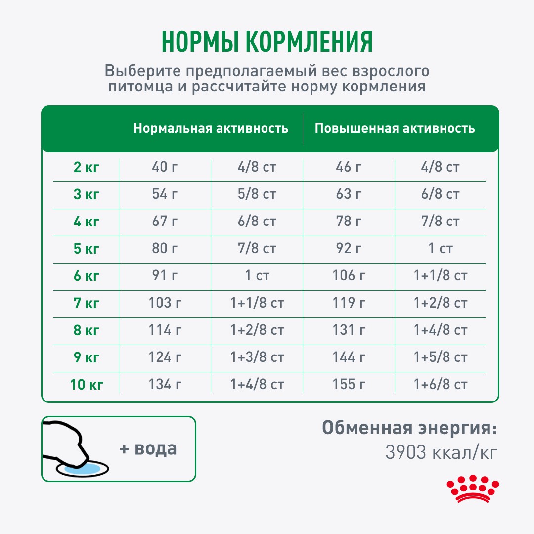 Корм для собак ROYAL CANIN Mini Adult 8+ для мелких пород (до 10кг) старше 8 лет сух.