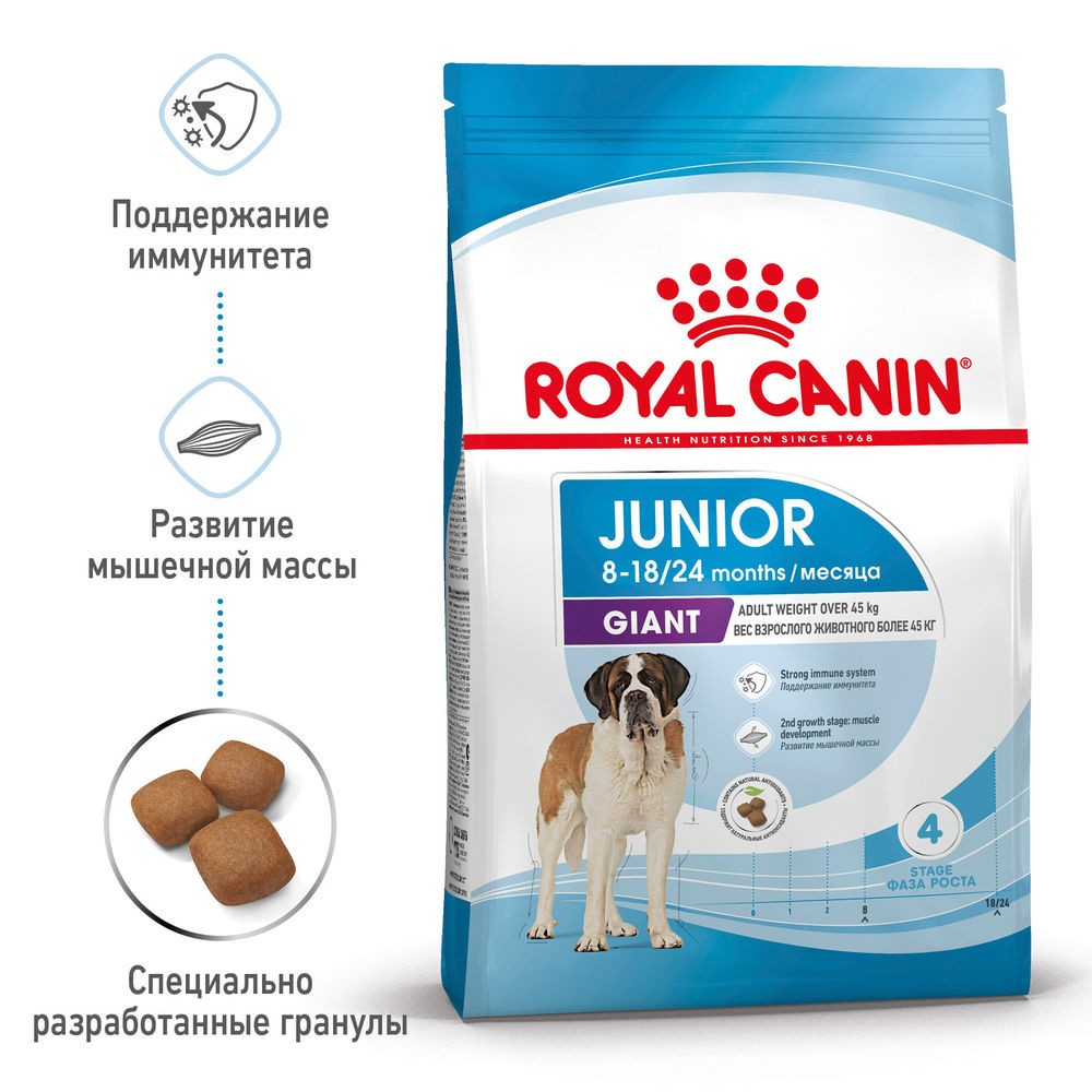 Корм для щенков ROYAL CANIN Giant Junior для очень крупных пород от 8 месяцев сух.
