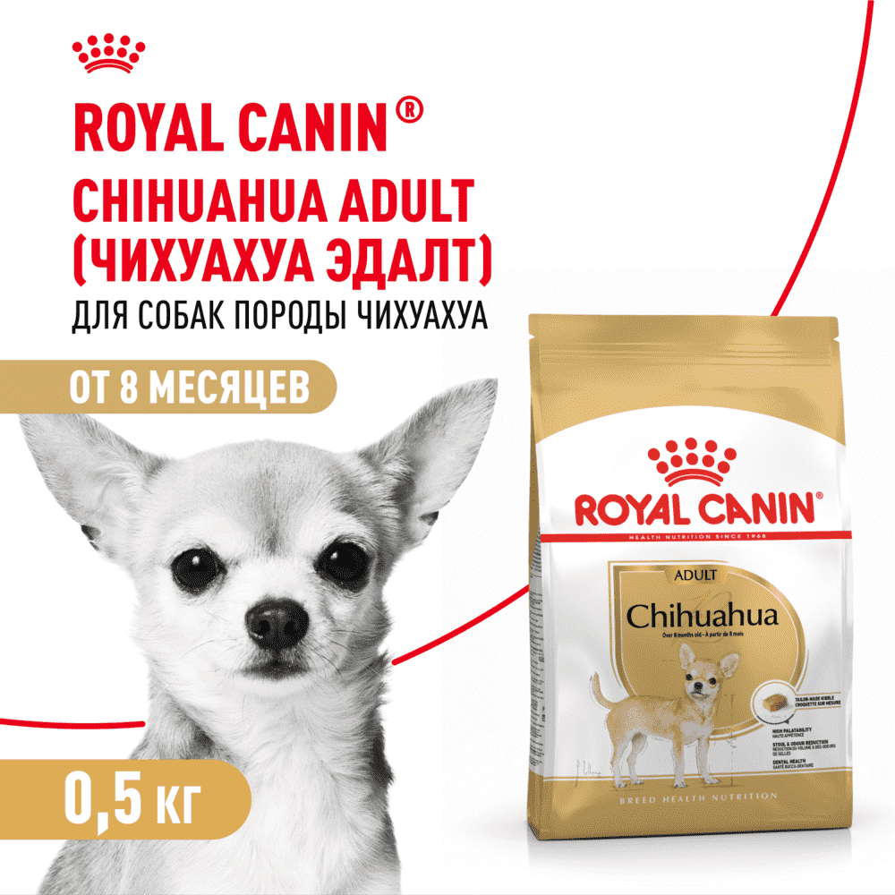 Корм для собак ROYAL CANIN Chihuahua Adult для породы чихуахуа от 8 месяцев сух.