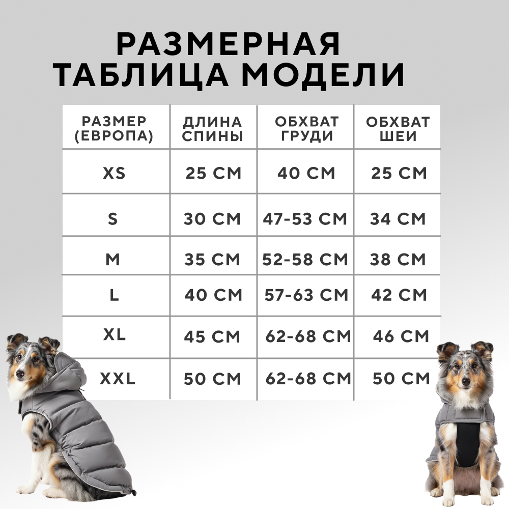 Попона для собак с козырьком FOXIE Frost and sun серая