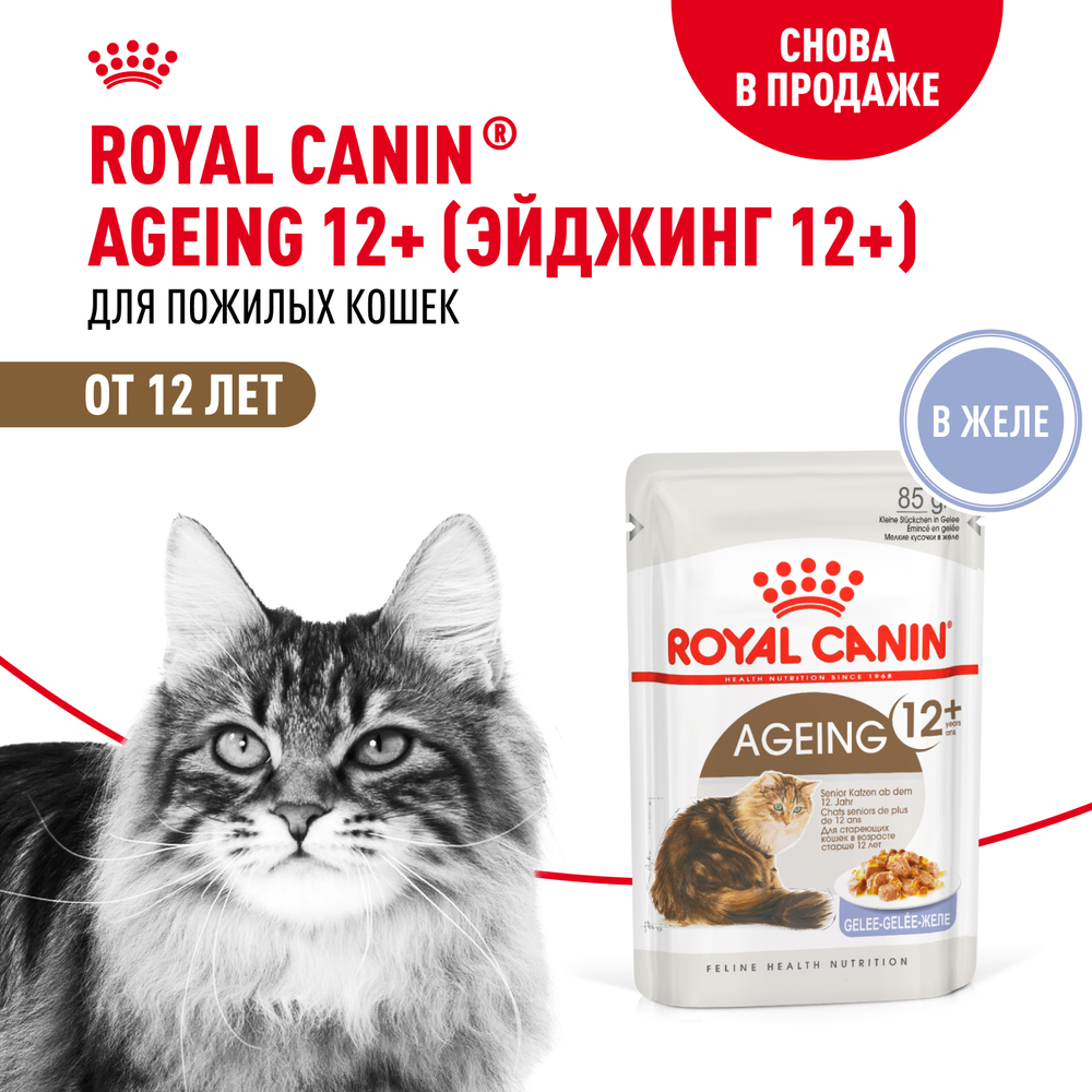 Корм для кошек ROYAL CANIN Ageing 12+ старше 12 лет, в желе конс.