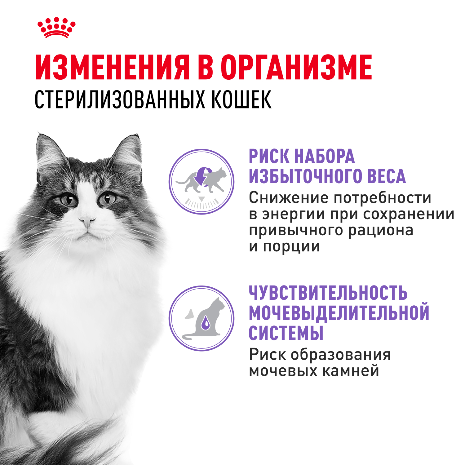 Корм для кошек ROYAL CANIN Sterilised для стерилизованных, паштет пауч