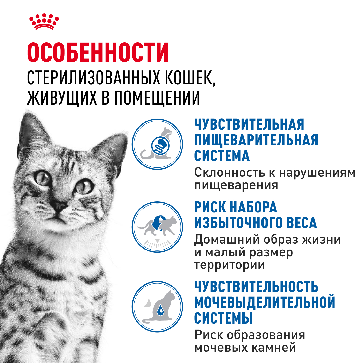Корм для кошек ROYAL CANIN Indoor Sterilized для кастрир. живущих в помещ., кусочки в желе пауч