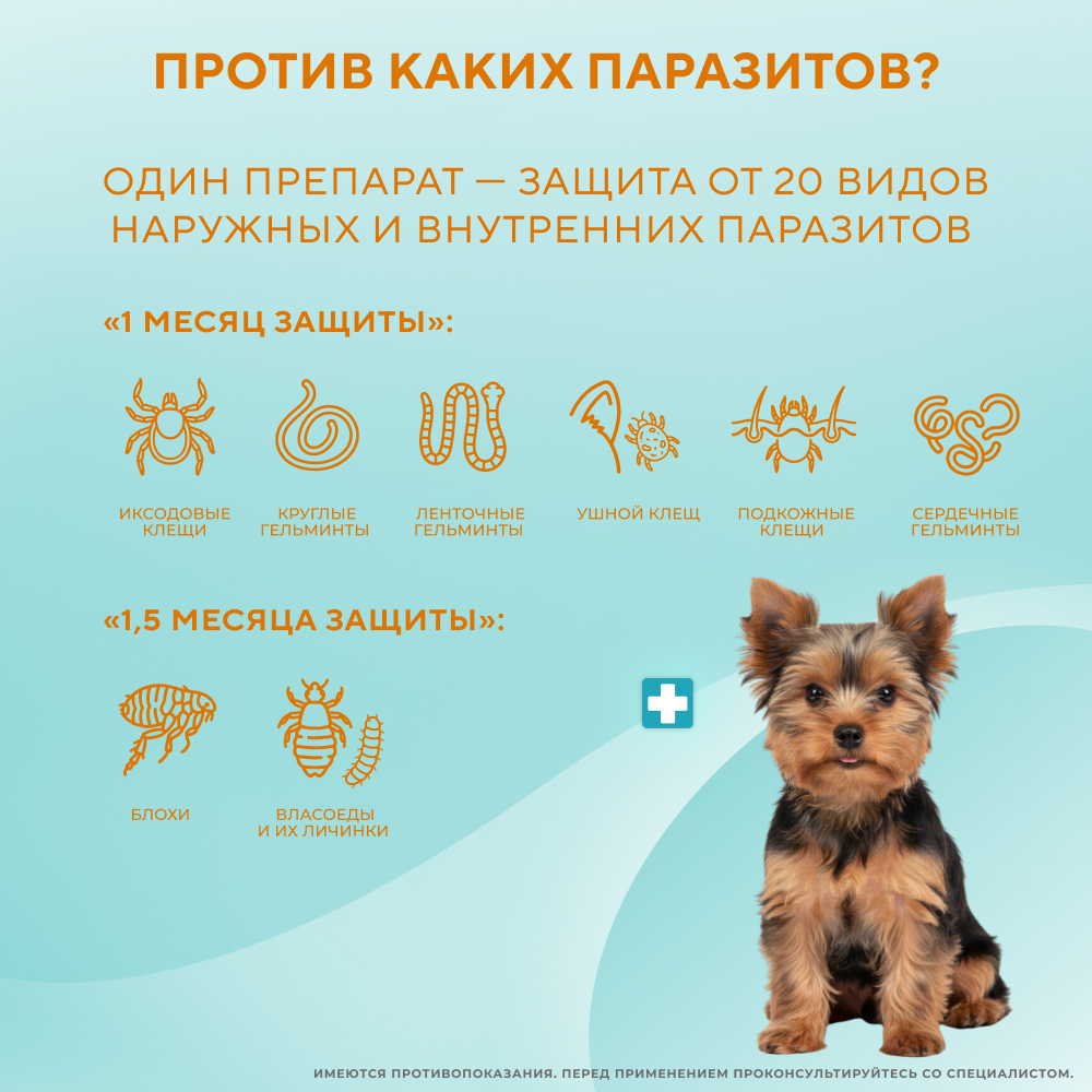 Капли на холку для собак INSPECTOR Quadro от клещей, блох и глистов 1-4кг 3 пипетки