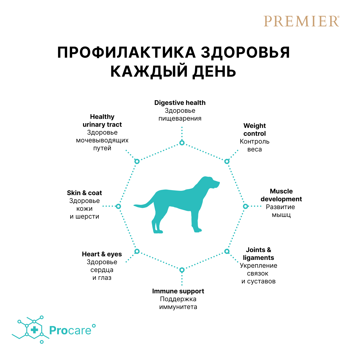 Корм для собак PREMIER Dog для крупных пород, свежее мясо ягненка с индейкой сух.