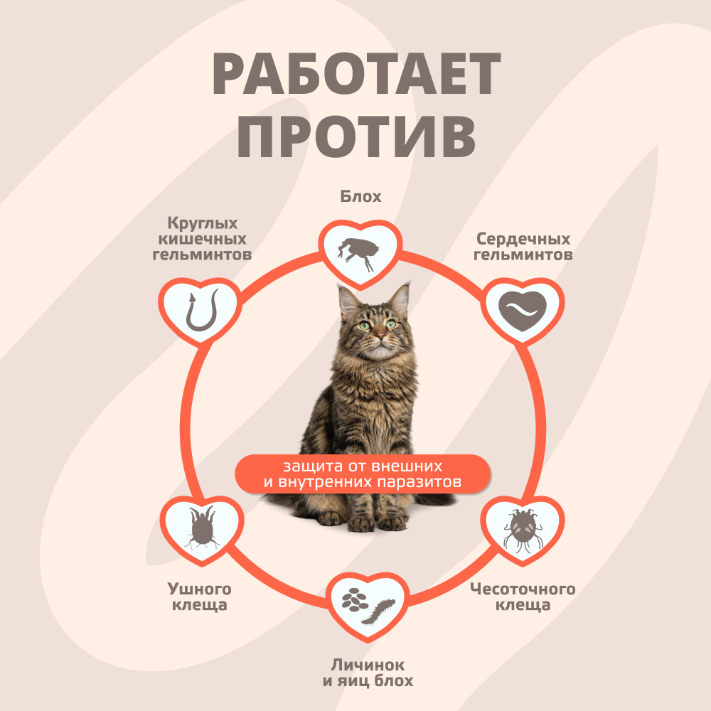 Капли для кошек KRKA Селафорт от ушн и чесоточ.клещей, блох, гельм 7,6-10,0кг, 1мл (60мг), 1 уп.
