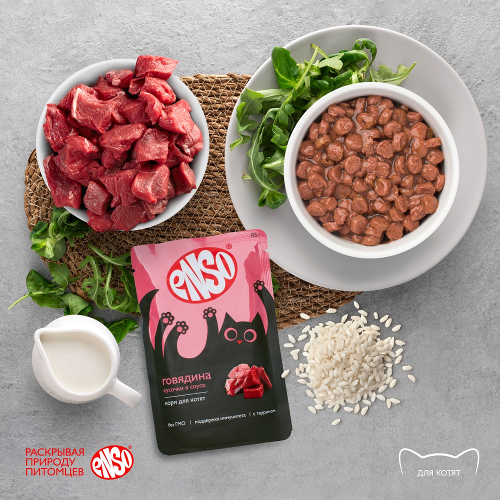 Корм для котят ENSO кусочки в соусе с говядиной пауч