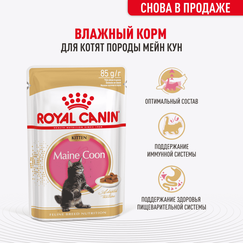 Корм для котят ROYAL CANIN Maine Coon для породы Мэйн Кун, кусочки в соусе пауч
