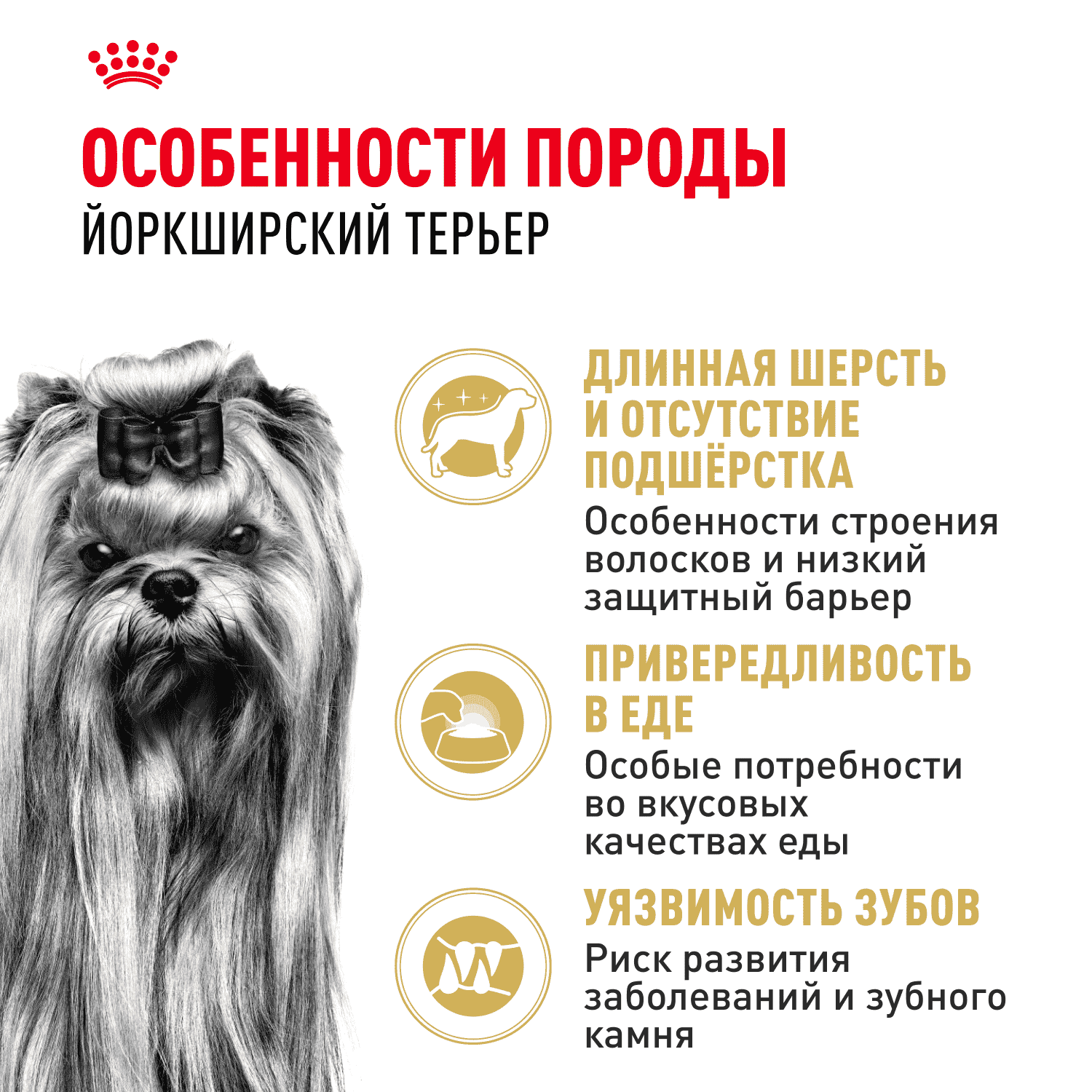 Корм для собак ROYAL CANIN Yorkshire Terrier Adult для породы йоркширский терьер от 10 мес. сух.