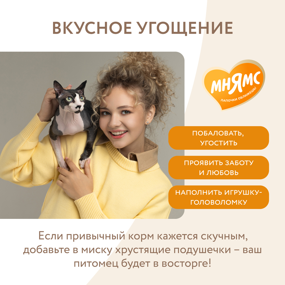 Лакомство для кошек МНЯМС Здоровье и активность хрустящие подушечки с курицей