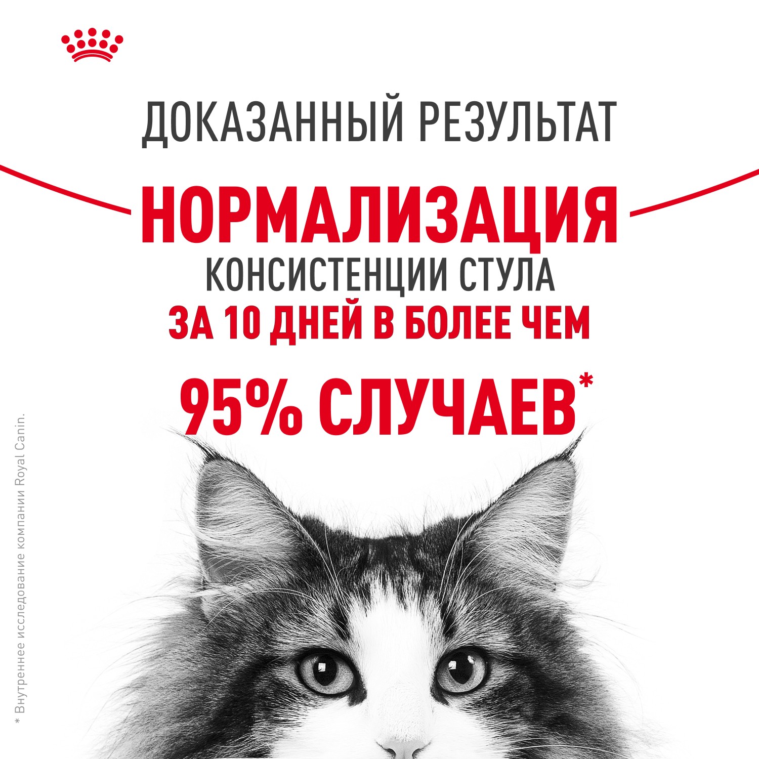 Корм для кошек ROYAL CANIN Digestive Comfort при расстройстве пищеварения сух.