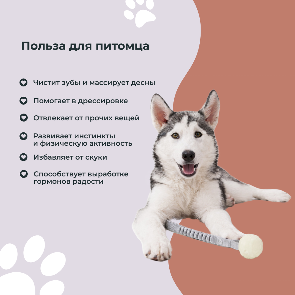 Игрушка для собак FOXIE Тяни-толкай Мяч светящ.в темноте, с петлей и отверстиями для лакомств 5х35см