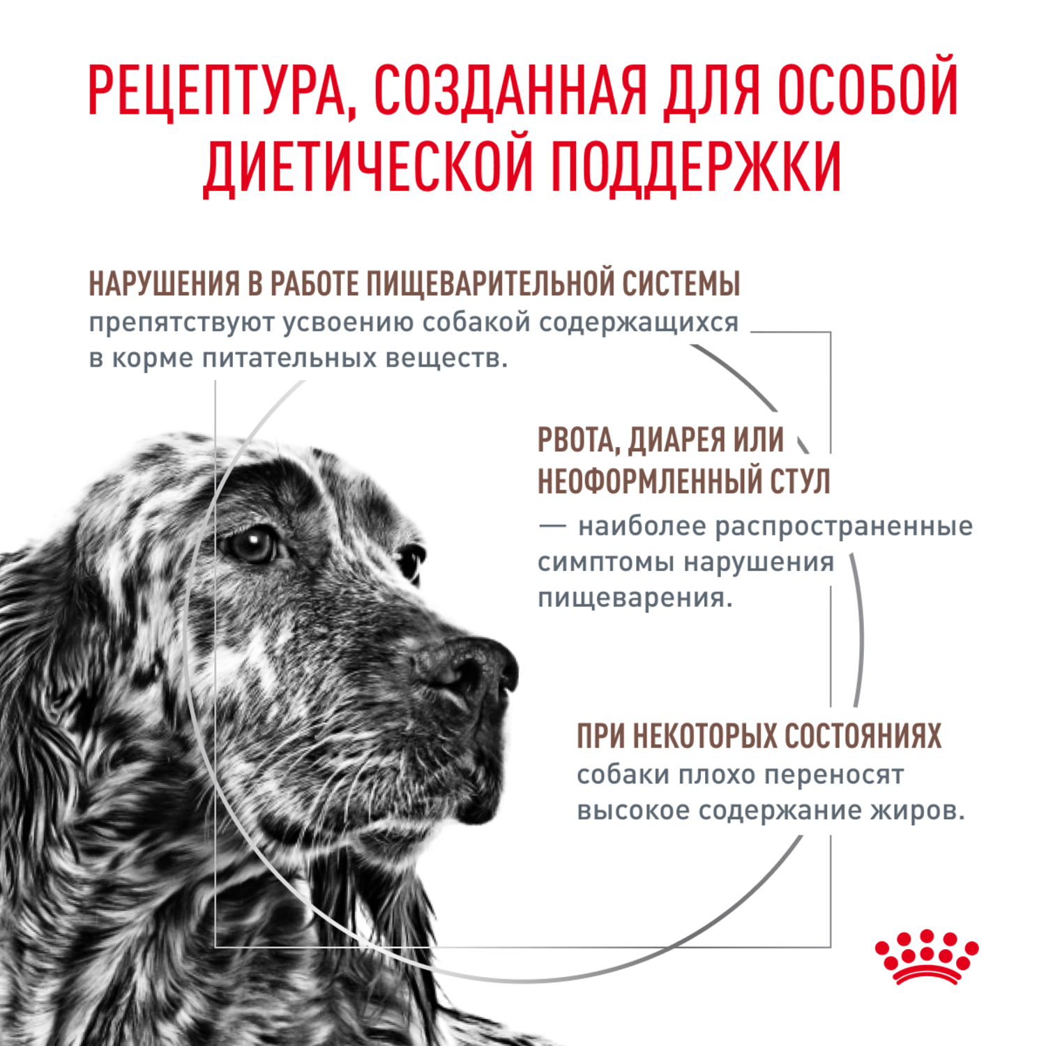 Корм для собак ROYAL CANIN Gastrointestinal Low Fat при нарушениях пищеварения сух.