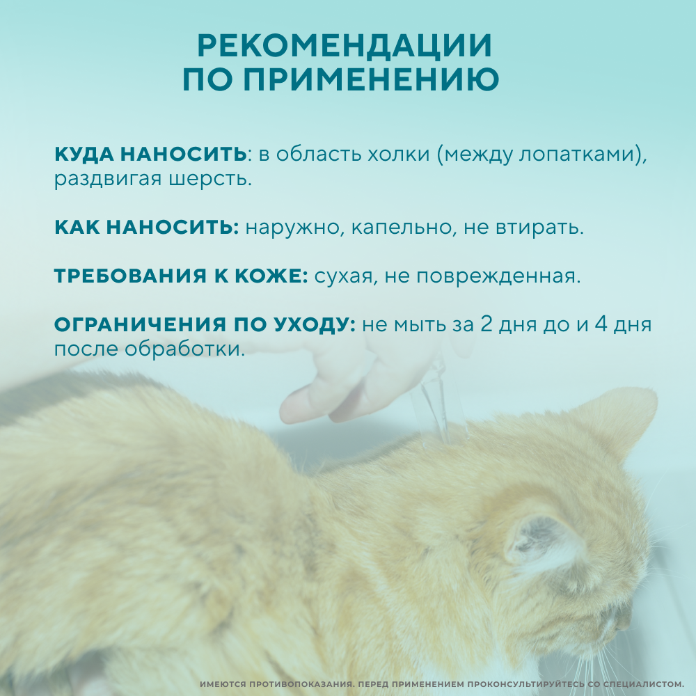Капли на холку для кошек INSPECTOR Quardo от клещей, блох и глистов 4-8кг