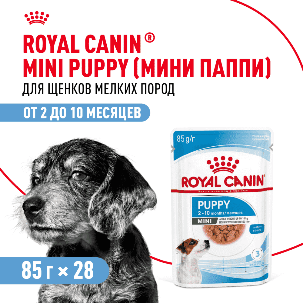 Корм для щенков ROYAL CANIN Mini для мелких пород до 10 месяцев, кусочки в соусе пауч