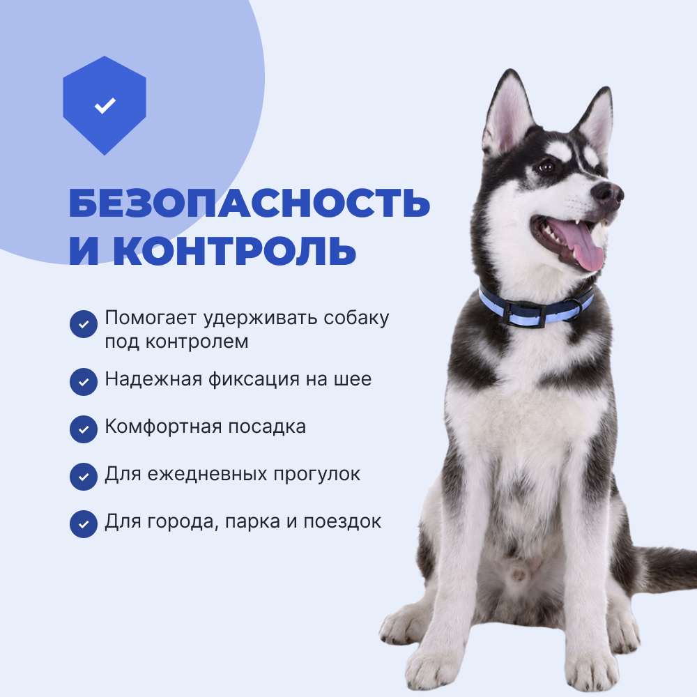 Ошейник для собак FOXIE Double color из биотана M 2,0х35-50см синий