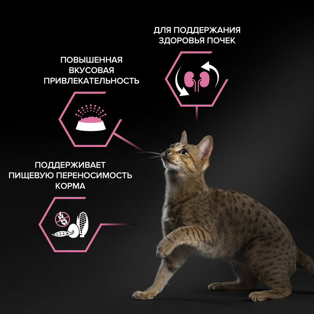 Корм для кошек PRO PLAN Delicate Digestion с чувствительным пищеварением, с индейкой сух.