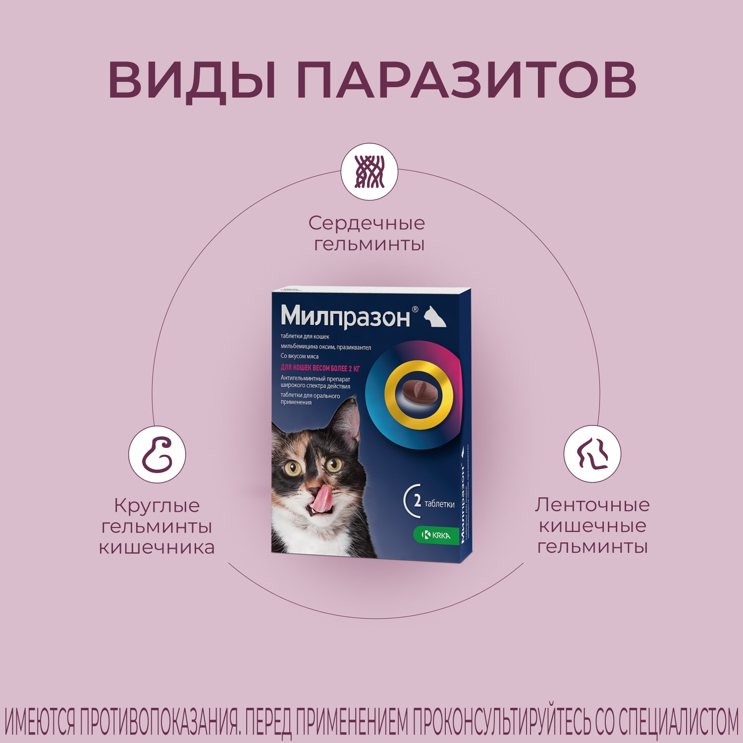 Антигельминтик для кошек KRKA Милпразон, 2 таблетки
