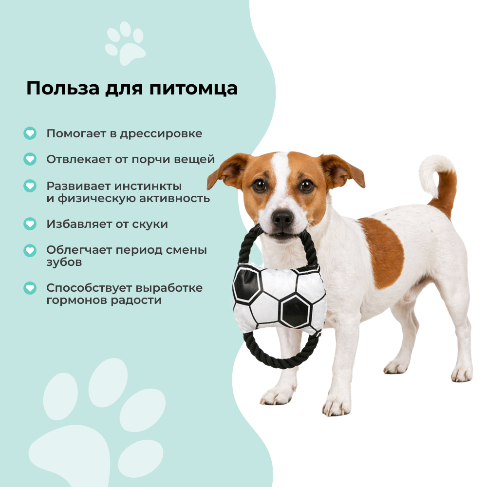 Игрушка для собак FOXIE Football Тяни-толкай с ручками 19см