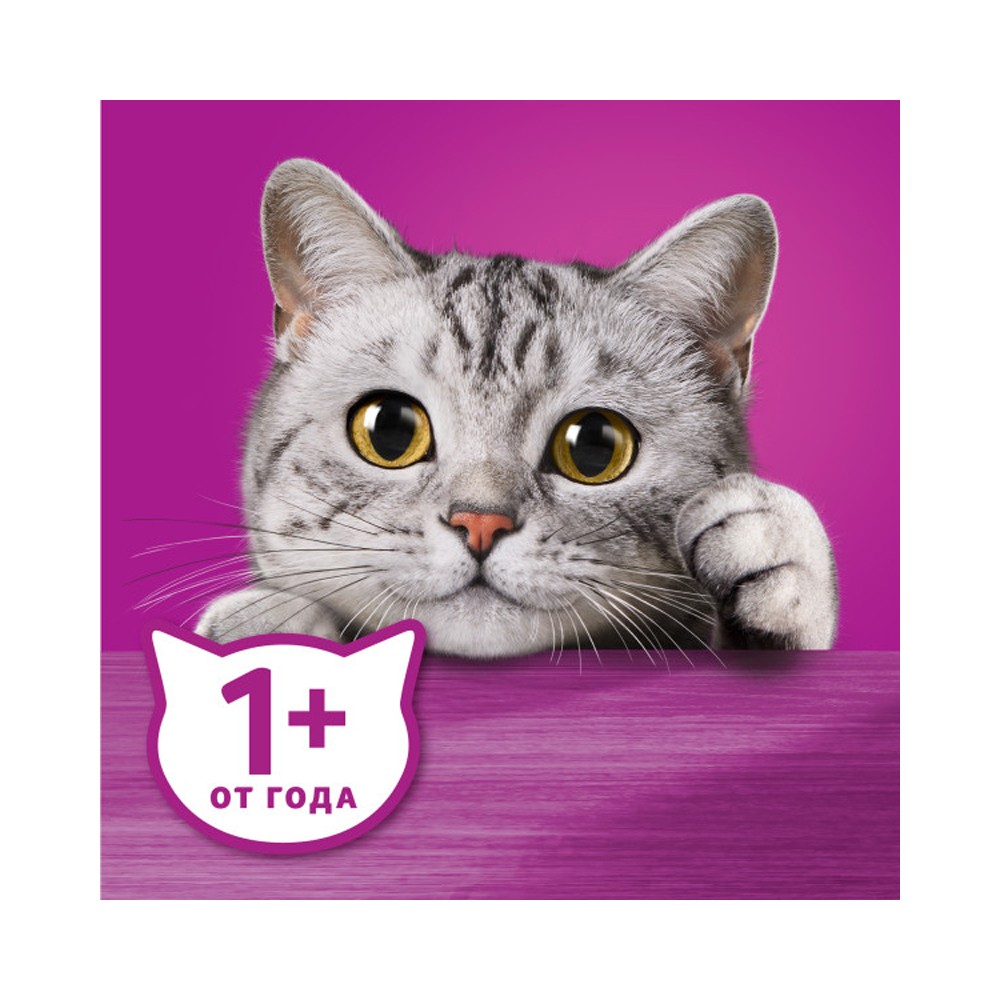 Корм для кошек WHISKAS курица, индейка паштет пауч