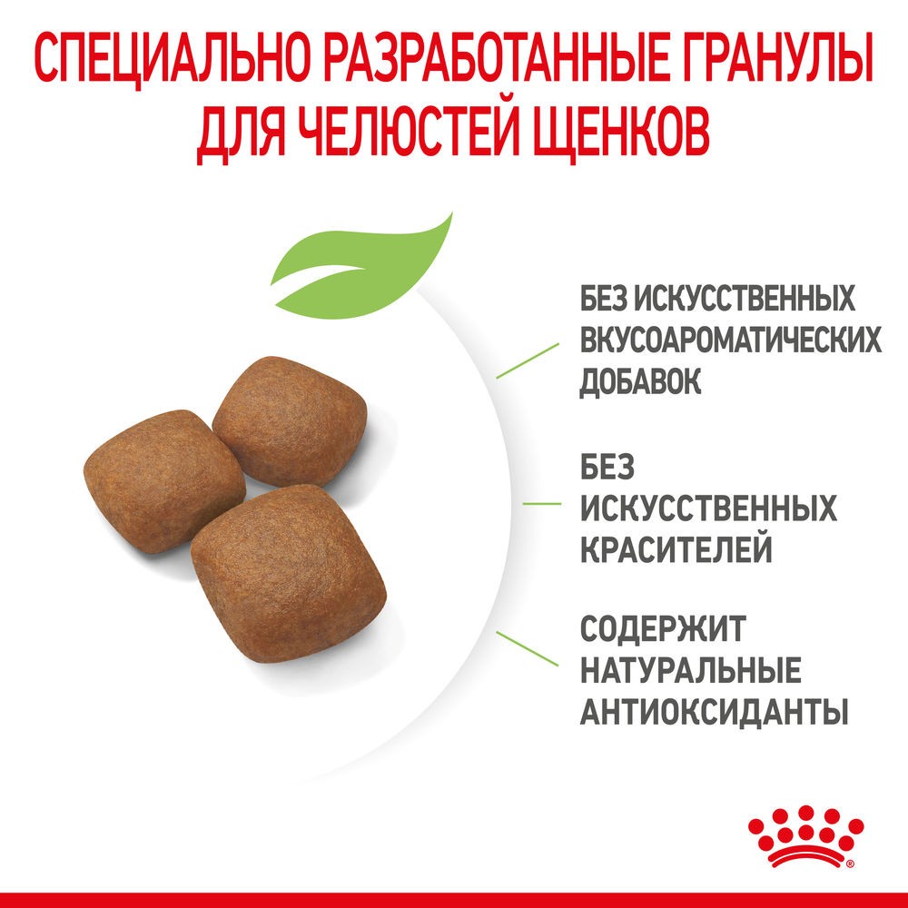 Корм для щенков ROYAL CANIN Giant Junior для очень крупных пород от 8 месяцев сух.