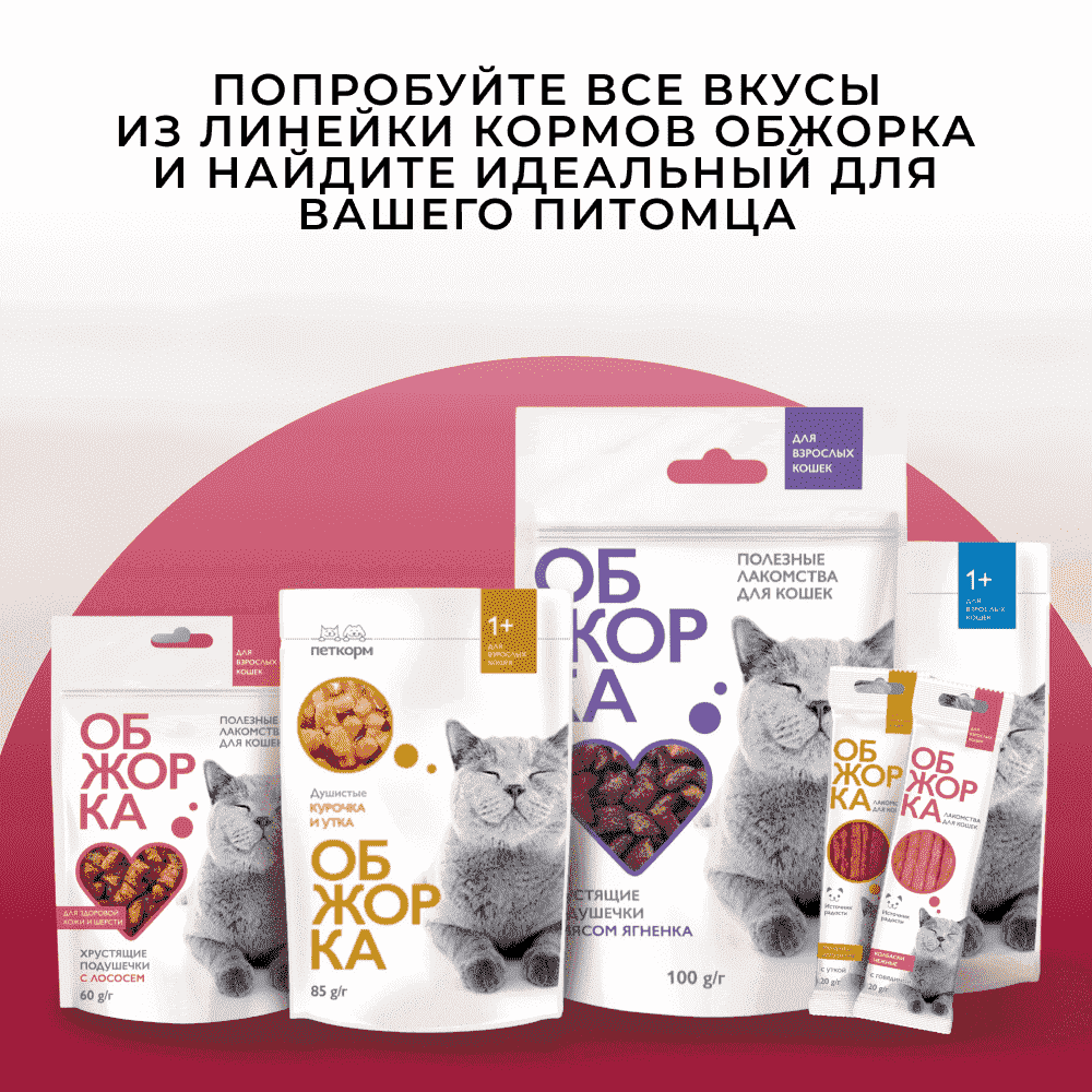 Корм для кошек ОБЖОРКА кусочки в соусе с говядиной пауч
