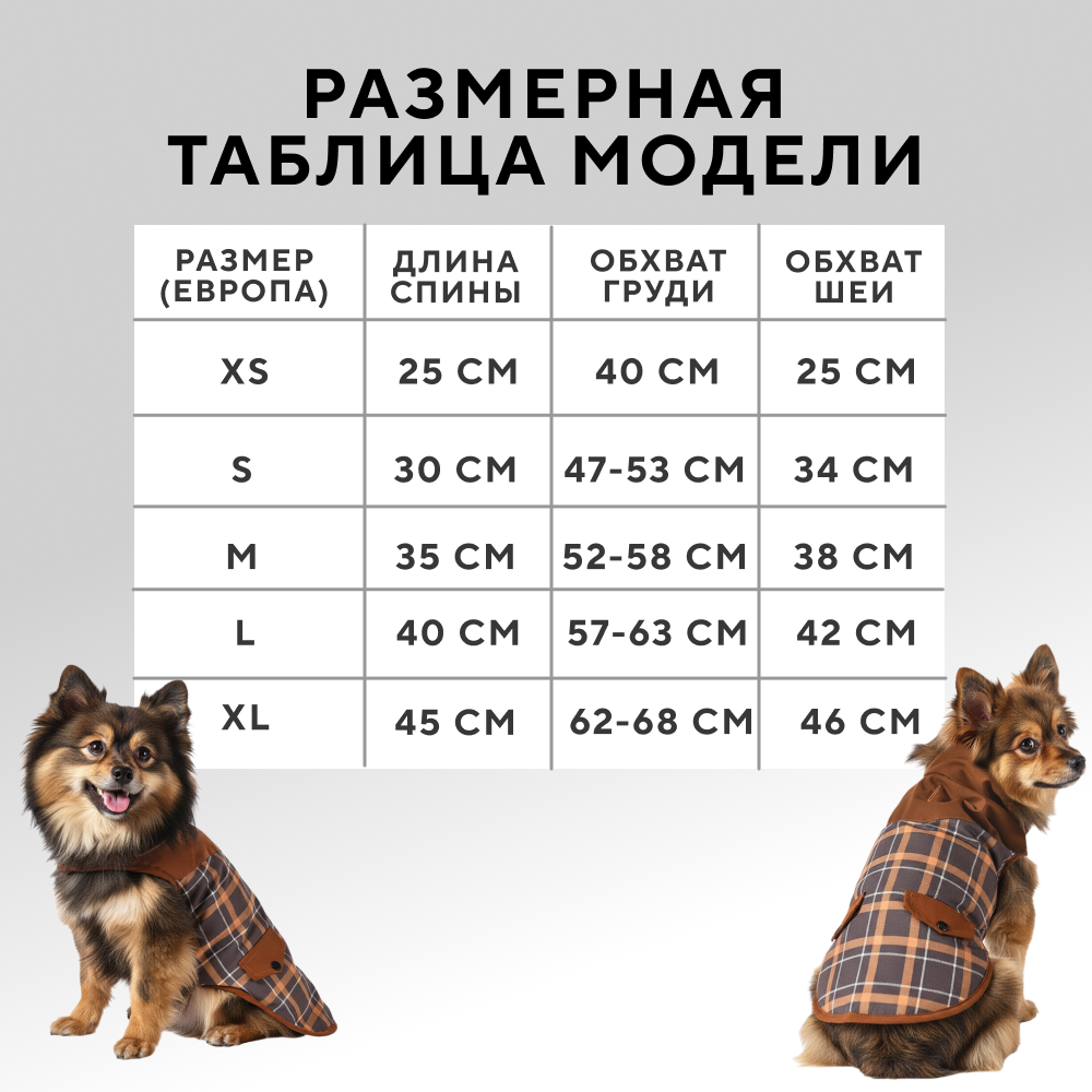 Попона для собак FOXIE Old school разноцветная