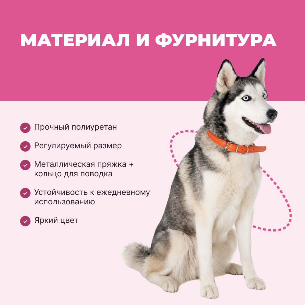 Ошейник для собак FOXIE Gladiolus S 1,5х50см розовый