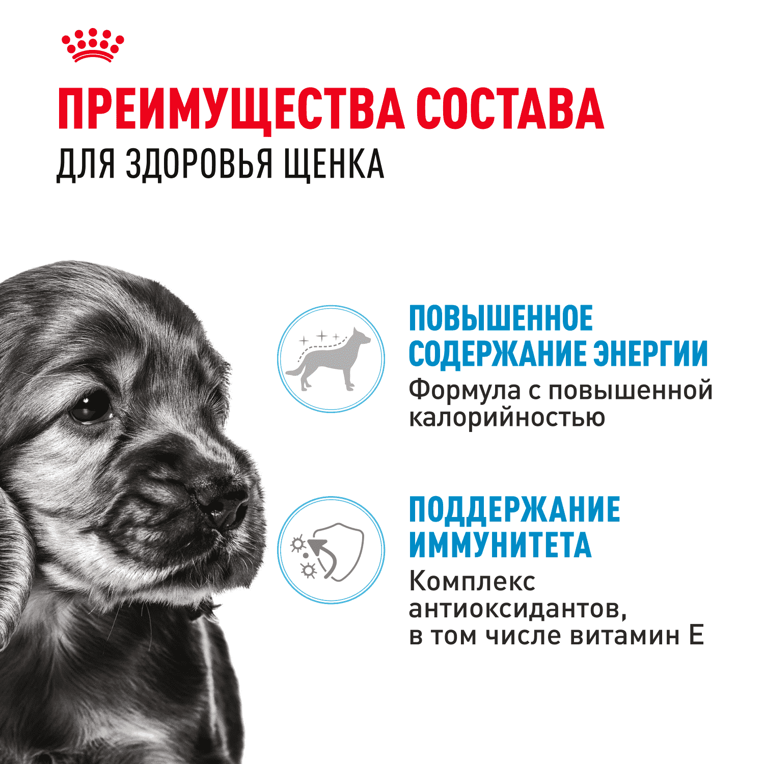 Корм для щенков ROYAL CANIN Mini для мелких пород до 10 месяцев, кусочки в соусе пауч