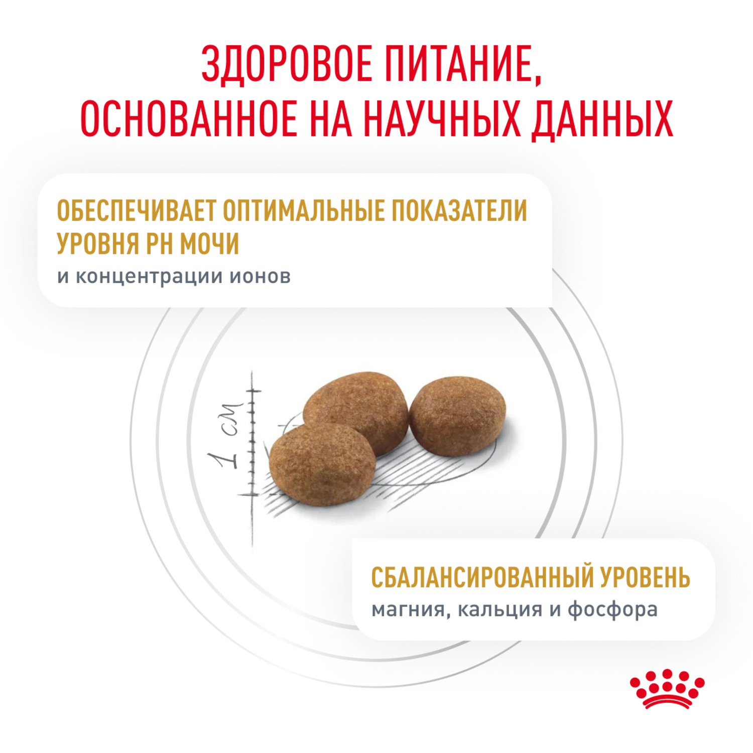 Корм для кошек ROYAL CANIN Urinary S/O LP34 при мочекаменной болезни сух.