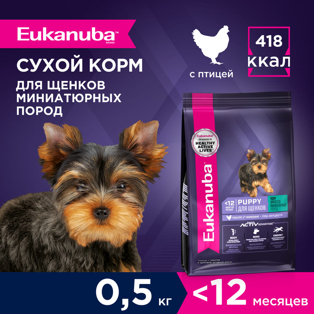Корм для щенков EUKANUBA для миниатюрных пород сух.