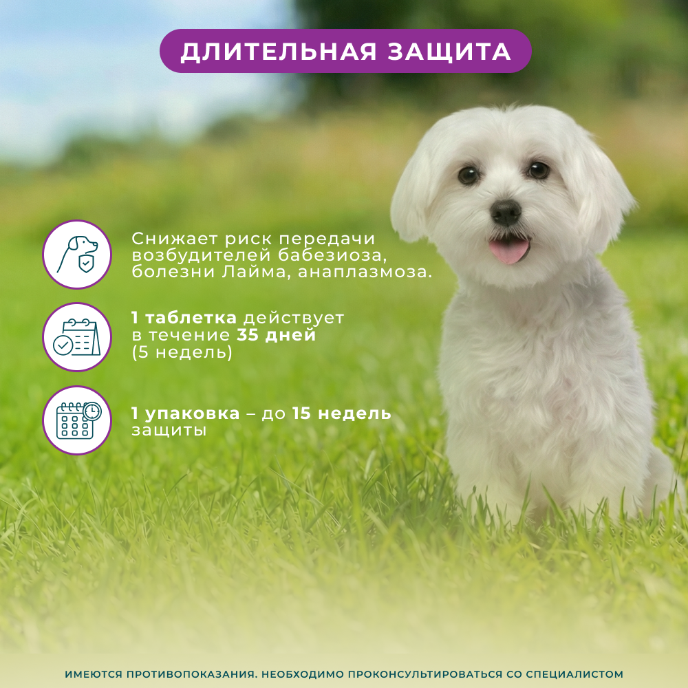 Таблетки для собак ZOETIS Симпарика от блох и клещей (2,6-5кг) 10мг, 3 таб на 105 дн.