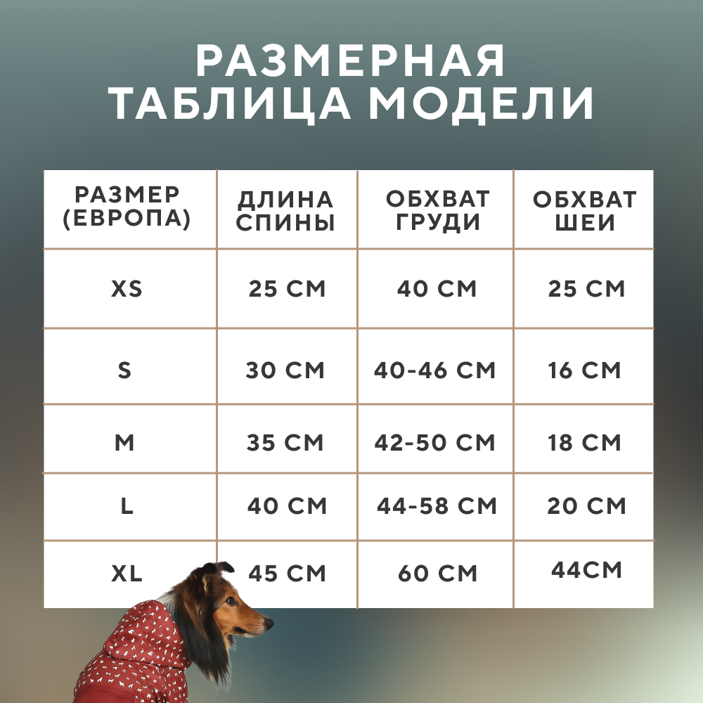 Дождевик для собак FOXIE Rain красный с карманом