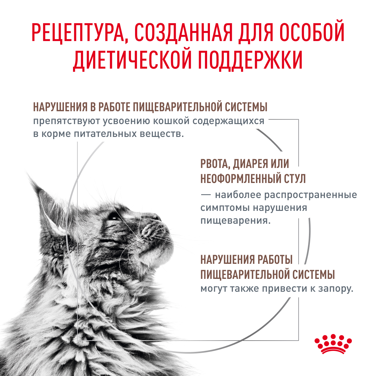 Корм для кошек ROYAL CANIN Vet Diet Fibre Response FR31 при нарушении пищеварения, птица сух.