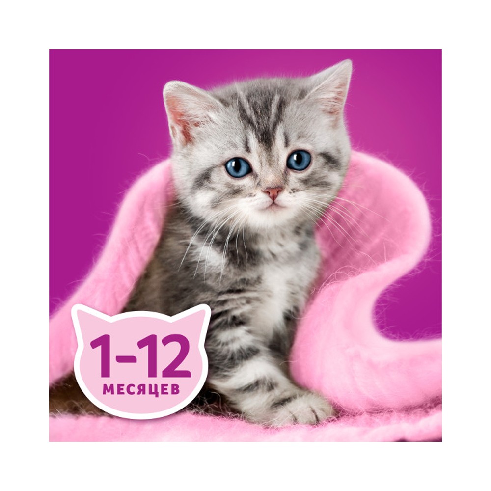 Корм для котят WHISKAS курица рагу пауч