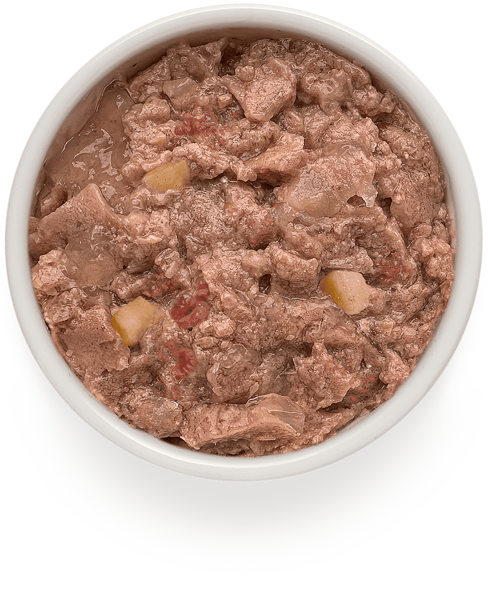 Корм для собак GRANDORF Паштет из индейки с яблоком и малиной банка