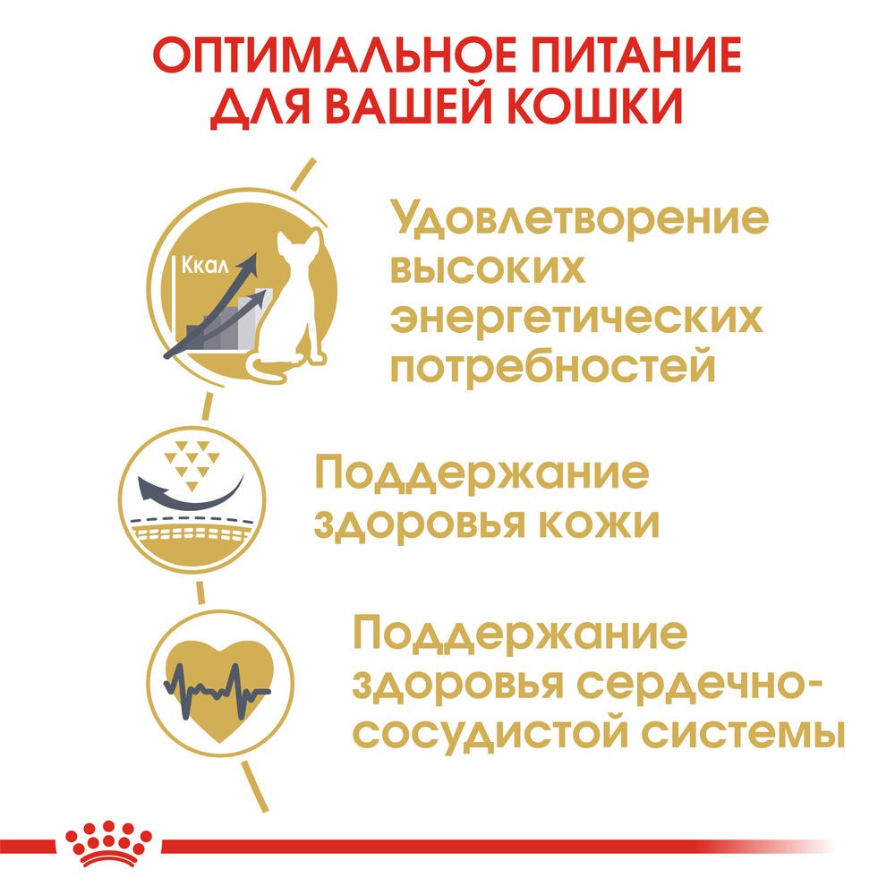 Корм для кошек ROYAL CANIN Sphynx сбалансированный для породы Сфинкс сух.
