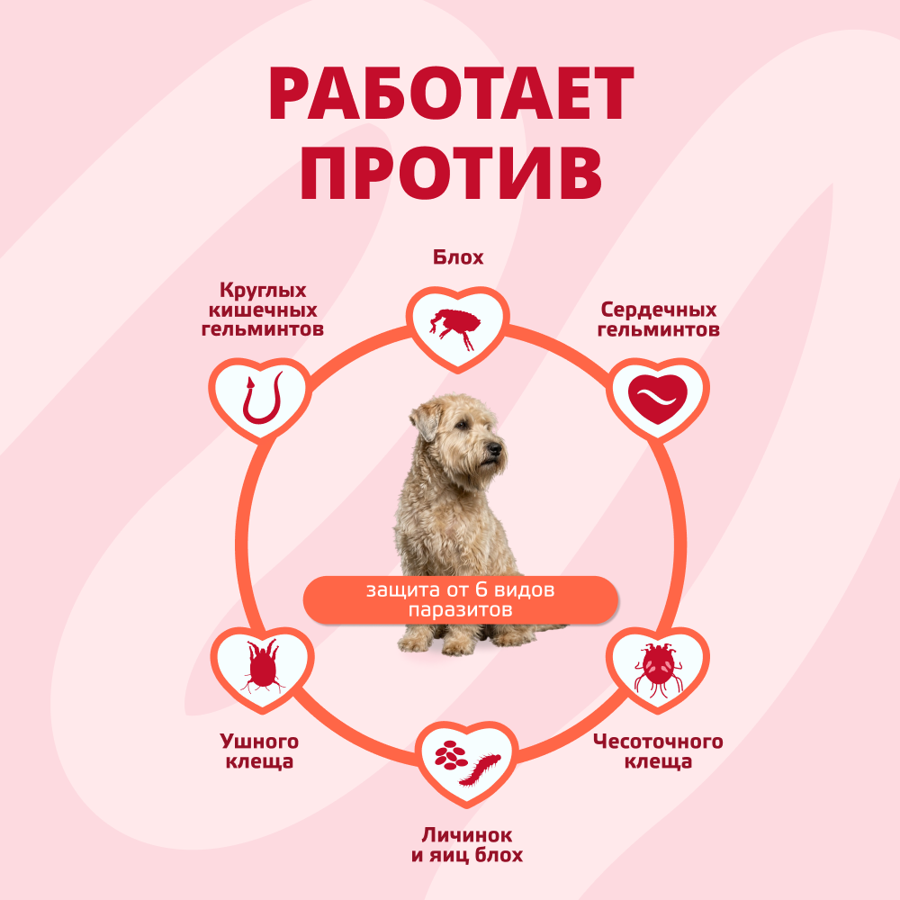 Капли для собак KRKA Селафорт от ушных и чесоточ.клещей, блох, гельминтов 10,1-20кг (120мг) 1 уп.