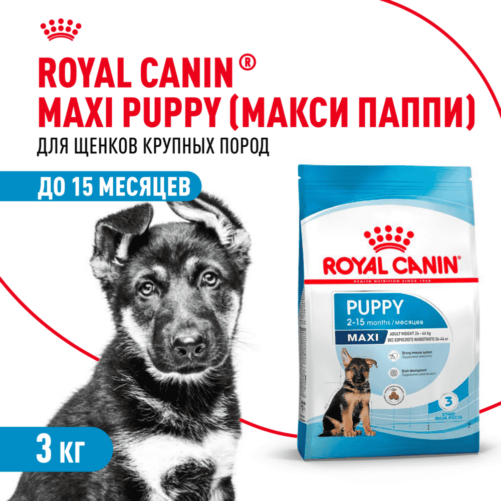Корм для щенков ROYAL CANIN Maxi Puppy для крупных пород до 15 месяцев, сух.