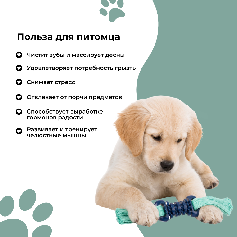 Игрушка для собак FOXIE Smart Косточка тяни-толкай с ремешками 6х28см синяя