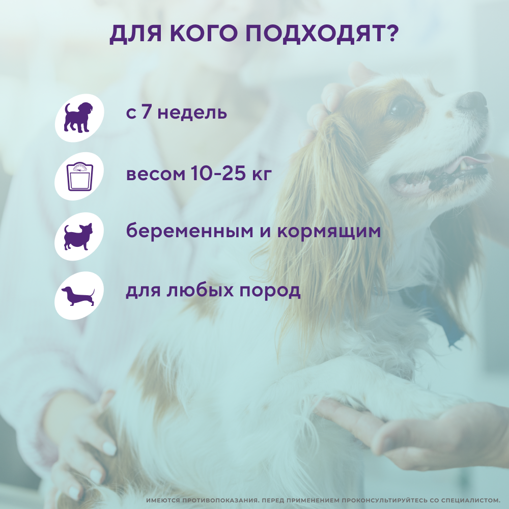 Капли для собак INSPECTOR Quadro от внешних и внутренних паразитов (от 10 до 25кг)
